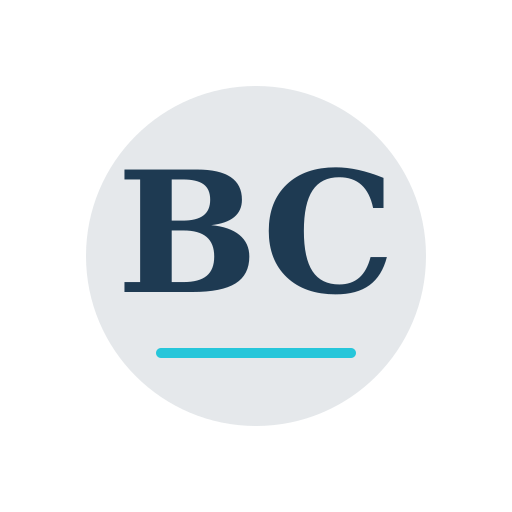 Brady Chimney Repair logo